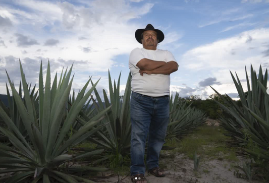 Exclusive Mezcal Tasting with Efrain Nolasco