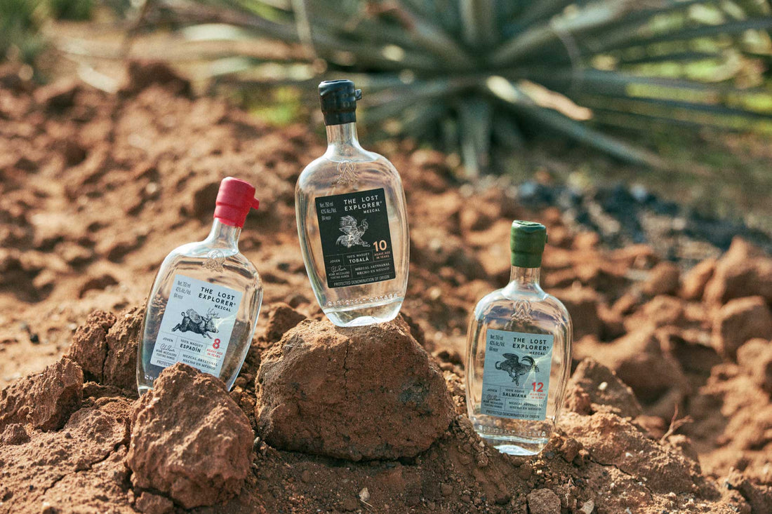 Friday Night Plans: Free Mezcal Tasting featuring The Lost Explorer