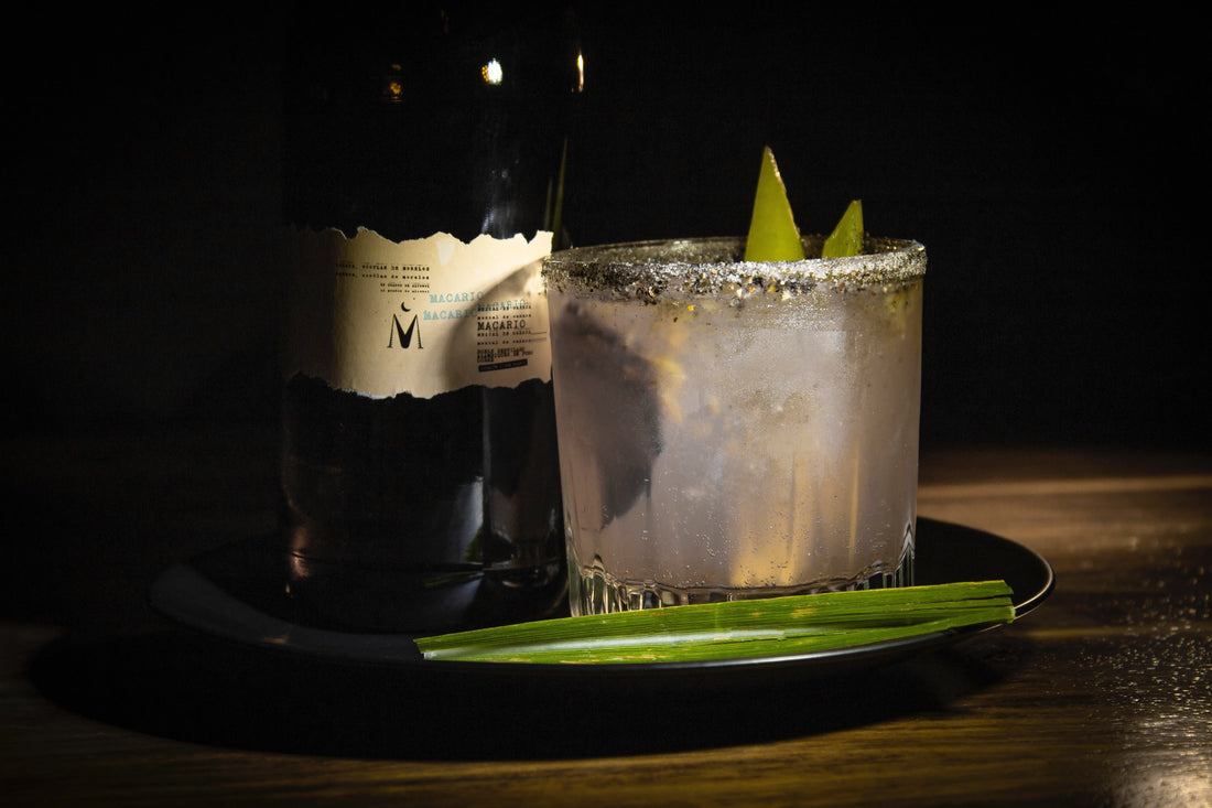 What is Sotol? Exploring Mexico’s Hidden Desert Spirit 