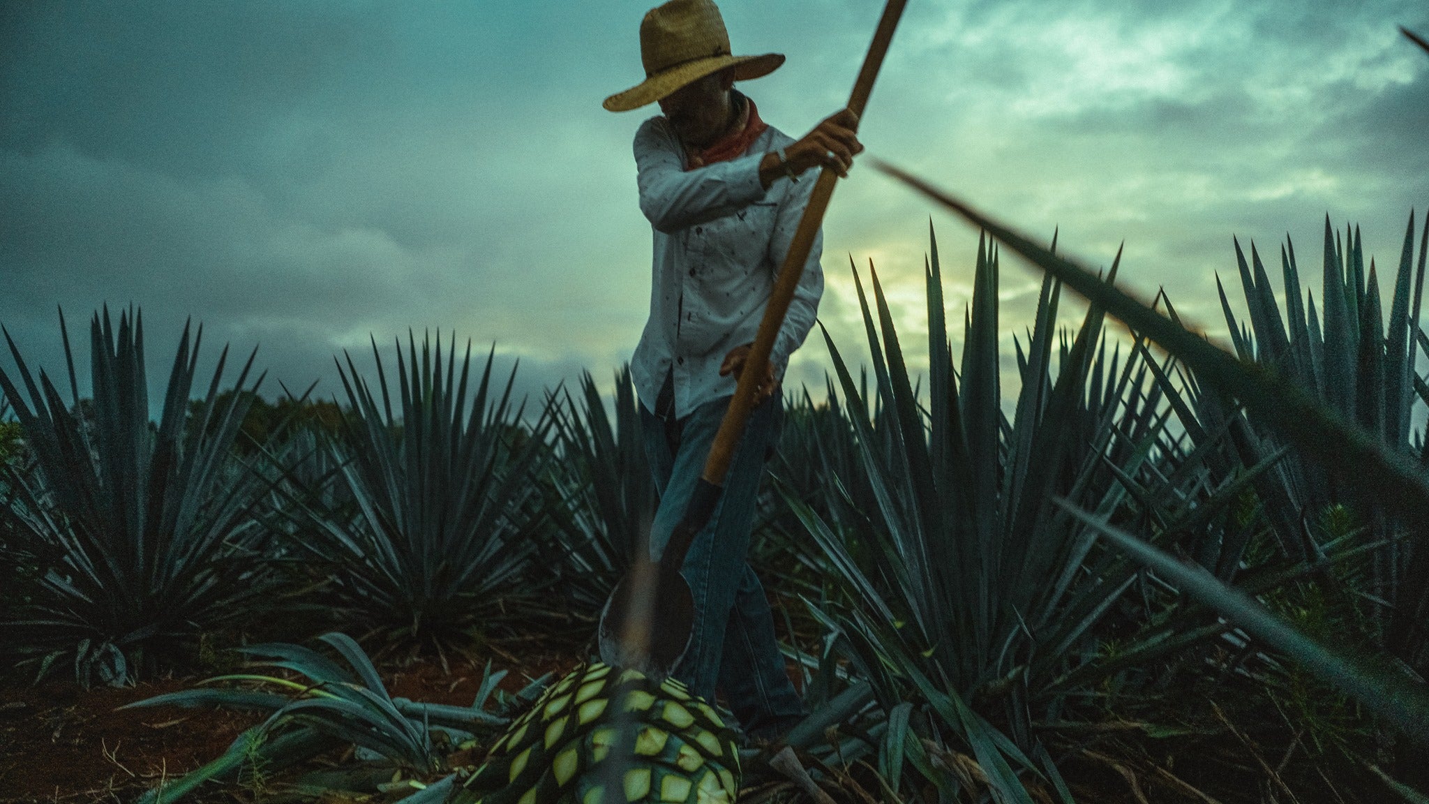 Tequila Clásico de Centinela – San Francisco Tequila Shop