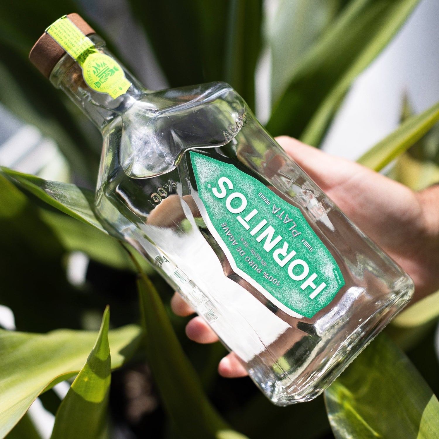 Hornitos Tequila - San Francisco Tequila Shop