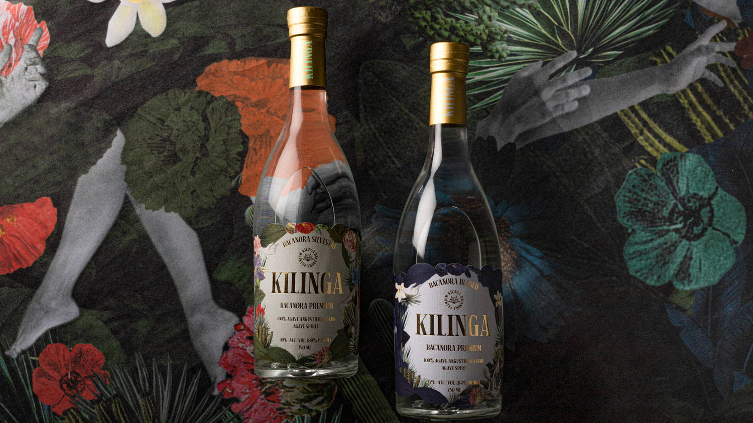 Kilinga Bacanora - San Francisco Tequila Shop